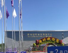 2018年中国图书馆年会1