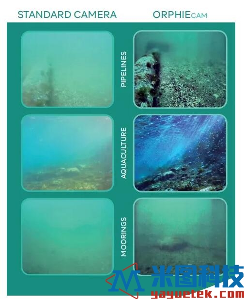 STANDARD水下相机和i2s ORPHIECam水下相机的效果对比