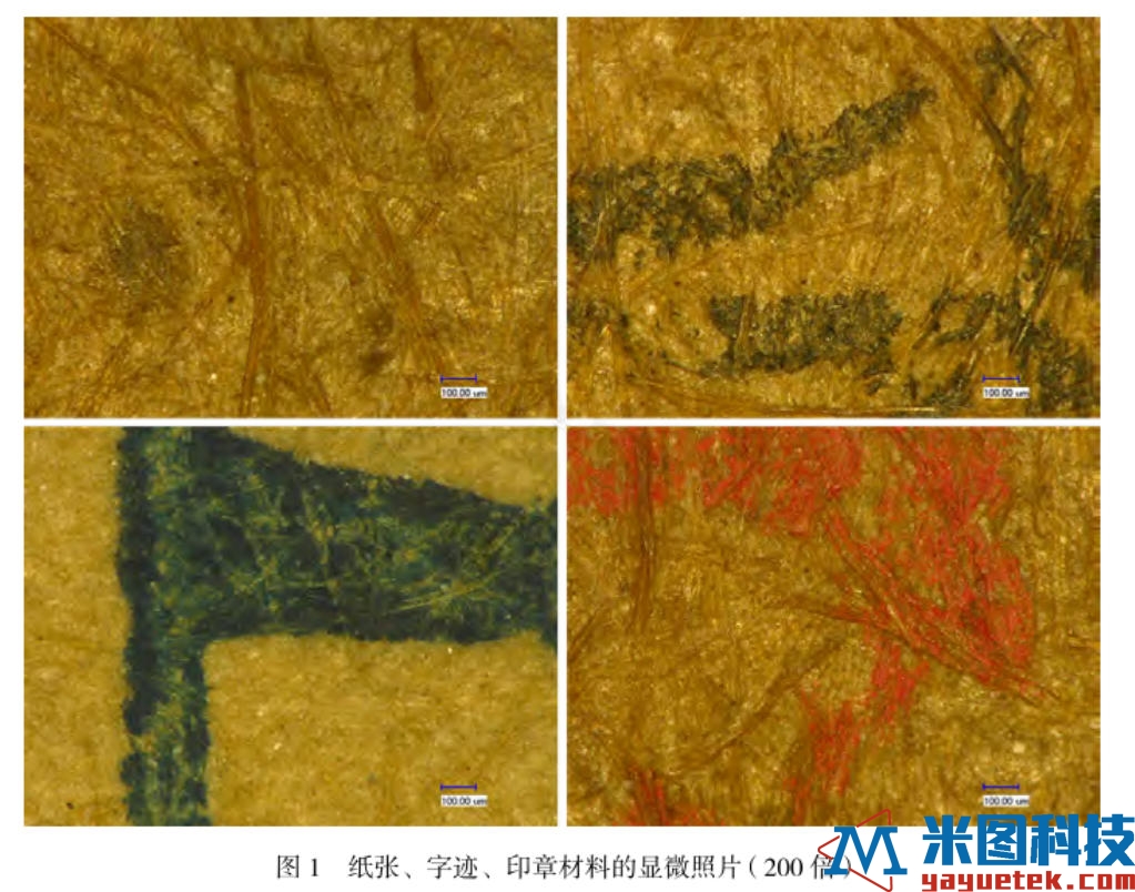 图1纸张、字迹、印章材料的显微照片(200倍).jpg 图1纸张、字迹、印章材料的显微照片(200倍).jpg